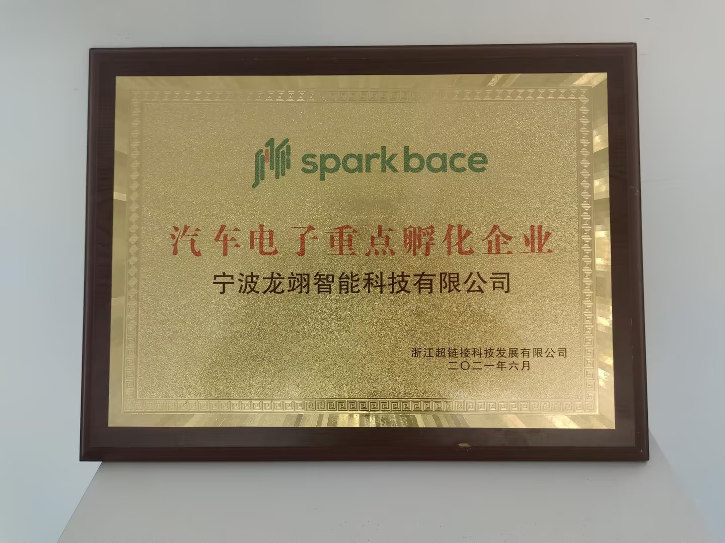 评选为汽车电子重点孵化企业